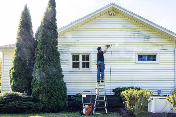 Best Building Exterior Pressure Washing in Geistown, PA